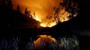 Πώς καλύπτονται οι ζημιές από «Πυρκαγιά Δάσους» μέσα από τα συμβόλαια περιουσίας;