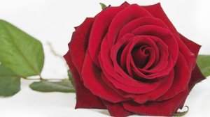 Υπ’ όψιν Διευθύνοντος συμβούλου και Γενικού Διευθυντού: Διευθύνετε εταιρεία που βάζει τους ανθρώπους και τα προϊόντα πάνω από τα κέρδη;