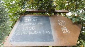 Με μία ξεχωριστή δράση εθελοντισμού γιόρτασε ο ΣΕΣΑΕ την Ημέρα Ασφάλισης!