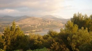 Κρητικοί φύτεψαν 2.500 χασισόδεντρα στον Εθνικό Δρυμό Σουνίου 