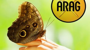 ARAG: Μέτρα ανάπτυξης μέσω του μετασχηματισμού της σε ARAG SE