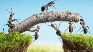 Το www.NextDeal.gr προσθέτει κύρος στον Έλληνα ασφαλιστή