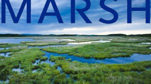 Το περιβάλλον ζητά την Marsh του