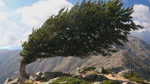 Έρχονται ισχυροί τυφώνες