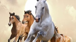 Παρακίνηση και… εργασιακή απόδοση