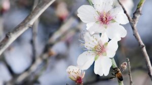 Νέες δυνάμεις στην ασφαλιστική αγορά θα ανατρέψουν ‘κατεστημένα’