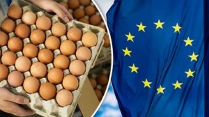 Πόσο τοξικές είναι οι τροφές που καταναλώνουμε;