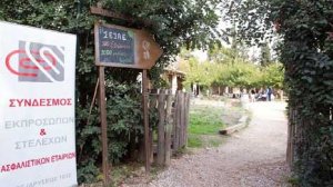 Οι ασφαλιστές μαγειρεύουν και προσφέρουν για άλλη μία φορά στην κοινωνία!