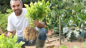 Γνωρίστε το νέο πρόγραμμα της DAÈS, "AGRONOMOS™"