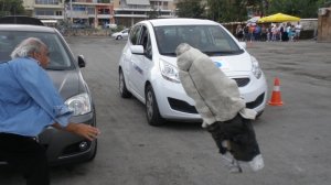 INTERAMERICAN: Πρωτοβουλίες για την οδική ασφάλεια 