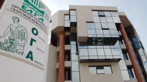 Πότε θα πληρωθούν οι συντάξεις Φεβρουαρίου του ΟΓΑ;