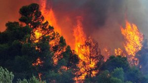 Εκτός ελέγχου η πυρκαγιά στη Λακωνία. Εκκενώθηκαν χωριά
