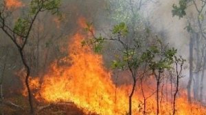 Στις φλόγες η Αχαΐα. Εκκενώνεται το πανεπιστήμιο Πατρών