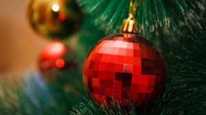 Πόσο θα κοστίσει το φετινό Χριστουγεννιάτικο Δέντρο;
