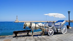 Υποχρεωτικά τα φώτα των ζωήλατων οχημάτων σύμφωνα με τον ΚΟΚ!
