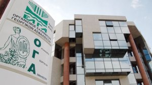 ΟΓΑ: Ηλεκτρονική αίτηση για χορήγηση επιδόµατος κυοφορίας-λοχείας