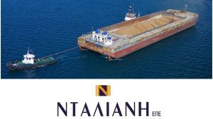 ΝΤΑΛΙΑΝΗ Μεσίτες Ασφαλίσεων: Επιτυχημένη Μακεδονίτισσα εταιρεία!