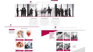 Τη νέα ιστοσελίδα αποκάλυψε η PF mylifepartners!