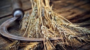 Οι αναπτυξιακές δυνατότητες του αγροτροφικού συστήματος στην Ελλάδα