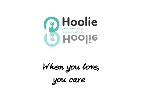 Hoolie: Ασφαλίστε το κατοικίδιο του πελάτη σας και αυξήστε το εισόδημά σας