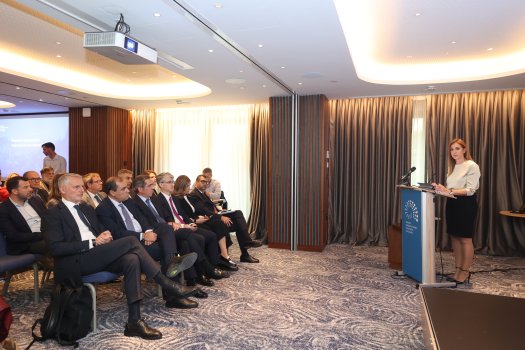 ΕΑΕΕ: «Φυσικές καταστροφές - Χτίζοντας μια πιο ανθεκτική Ελλάδα» (βίντεο)