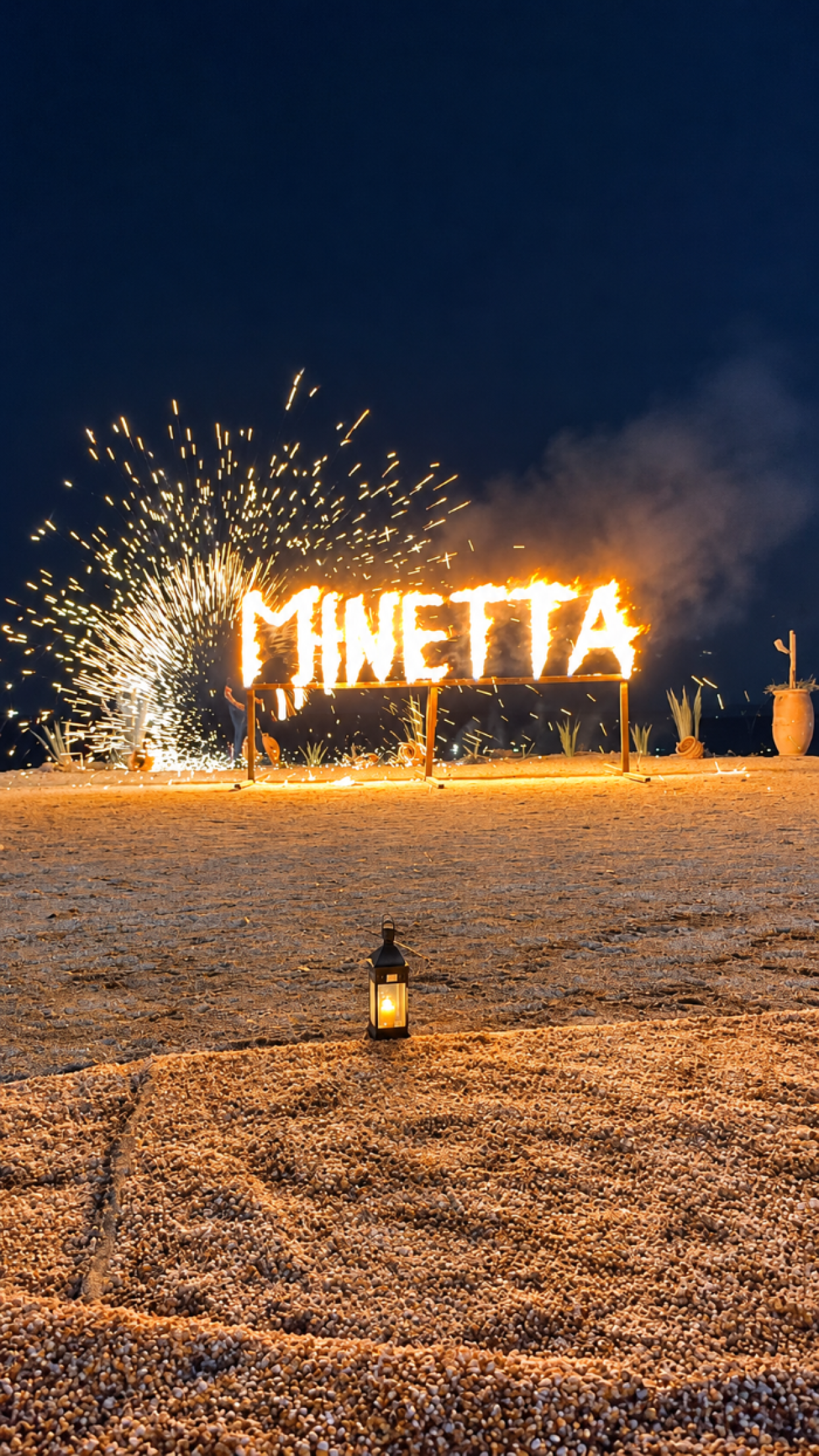 Flaming MINETTA 2.png