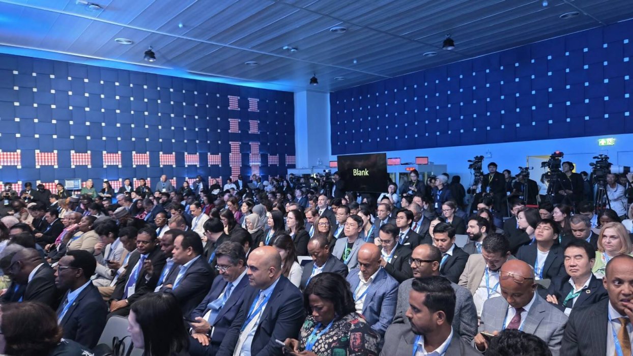 PHOTO IMF2.jpg