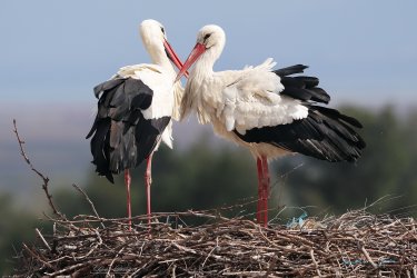 Εικόνα που περιέχει ανθρώπινο πρόσωπο, ρουχισμός, άτομο, γραβάτα
Το περιεχόμενο που δημιουργείται από τεχνολογία AI ενδέχεται να είναι εσφαλμένο.