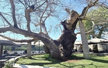 Εικόνα που περιέχει άτομο, ανθρώπινο πρόσωπο, ρουχισμός, χαμόγελο
Το περιεχόμενο που δημιουργείται από τεχνολογία AI ενδέχεται να είναι εσφαλμένο.