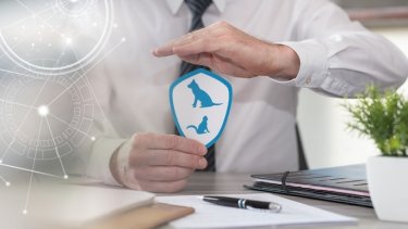 shutterstock_2320384655!.jpg