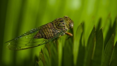shutterstock_2760075079.jpg