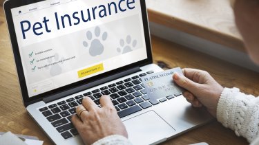 Pet Insurance