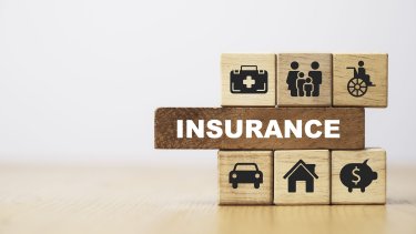 vecteezy_insurance-and-assurance-icon-including-family-health-real_6639990_252.jpg