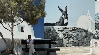 IMG_0448.jpeg