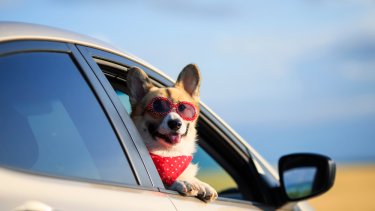 shutterstock_1458249983.jpg