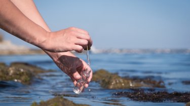 shutterstock_2052519524.jpg