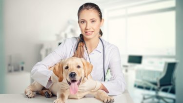 shutterstock_2387914017.jpg