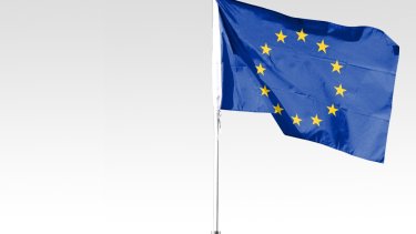 european union flag