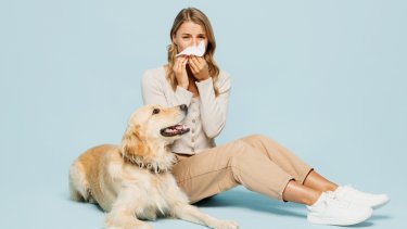 shutterstock_2427983107.jpg
