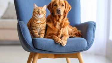 shutterstock_2632481189.jpg