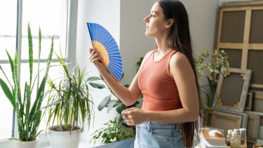 shutterstock_2740798147.jpg