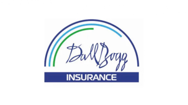 Insurance JSC Dallbogg: Life and Health.jpg