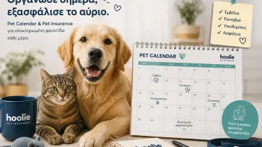 hoolie-pet-reminders.webp