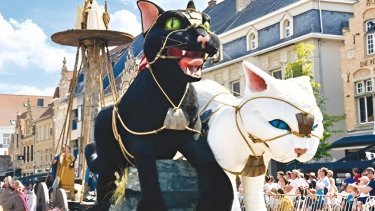 cat-parade-belgium.jpeg