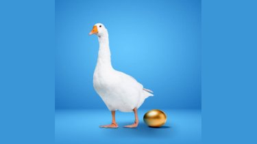 duck_golden_egg.jpg