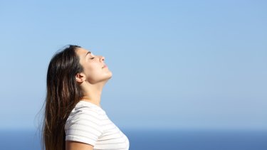shutterstock_1818478382.jpg