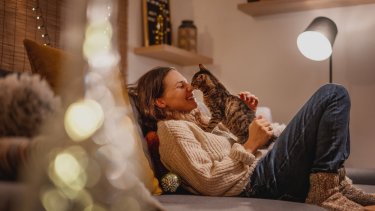 shutterstock_2384606407.jpg