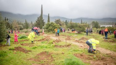 greenathlon-ethniki.asfalistiki-1