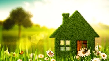 green-house