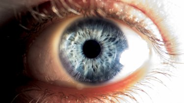 eye